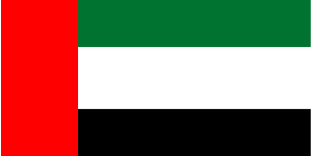 Dubai flag